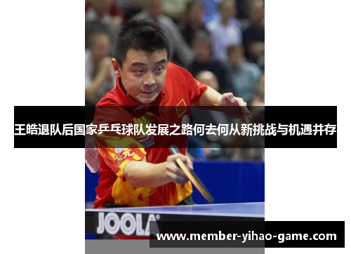 王皓退队后国家乒乓球队发展之路何去何从新挑战与机遇并存